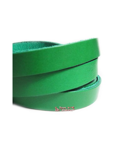 Banda de Cuero 6x2,5mm, Verde (20cm)