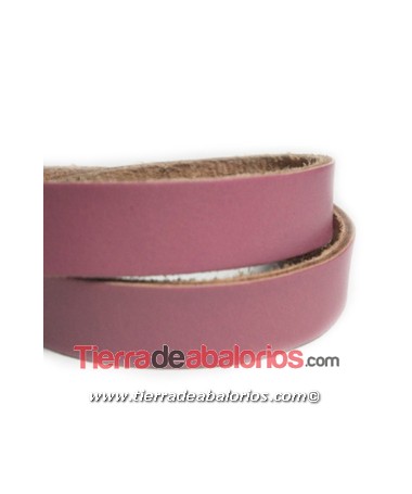 Banda de Cuero 30x2,5mm, Rosa Palo (20cm)