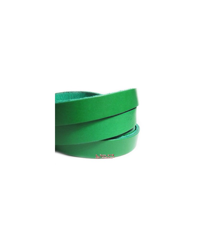 Banda de Cuero 30x2,5mm, Verde (20cm)