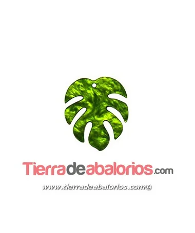 Colgante Plexyglass Hoja Monstera 35x30mm, Verde Nacarado