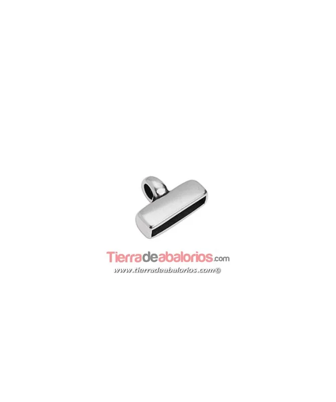 Terminal 23x16mm Agujero 20x4mm, Plateado