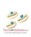 Concha Natural con Ojo Turco de 17x12mm