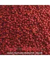 Rocalla 9/0 Rojo Cereza Mate