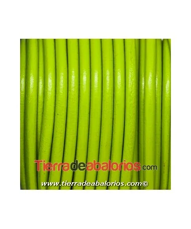Cordón de Cuero 4,5mm - Verde Pistacho Cordón de Cuero 4,5mm - Verde Pistacho