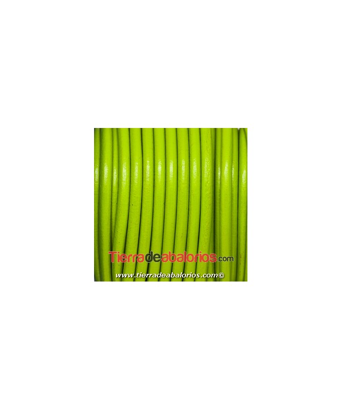 Cordón de Cuero 4,5mm - Verde Pistacho