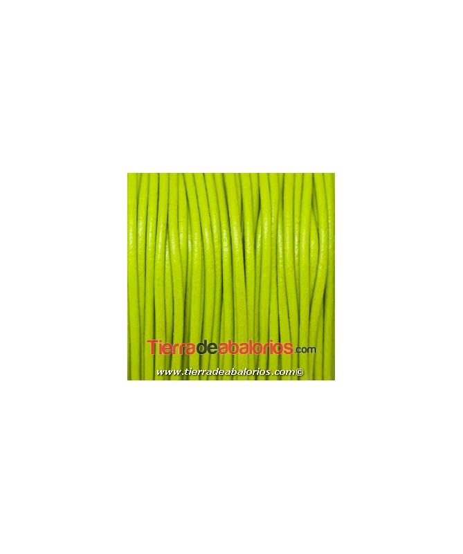 Cordón de Cuero 2mm - Verde Pistacho