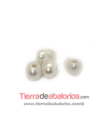 Perla Cultivada 10x8mm Agujero 2.8mm