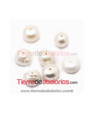 Perla Achatada XL 12x8mm