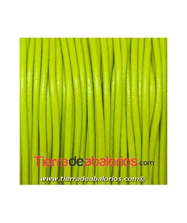 Cordón de Cuero 2,5mm Verde Pistacho Cordón de Cuero 2,5mm Verde Pistacho
