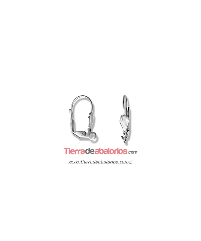 Pendiente Catalan Concha 15x9mm, Plateado