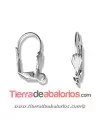 Pendiente Catalan Concha 15x9mm, Plateado