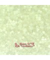Delica Miyuki 11/0 - DB0672 - Ivory Silk Satin