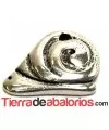 Caracol Colgante 15x20mm - Plateado