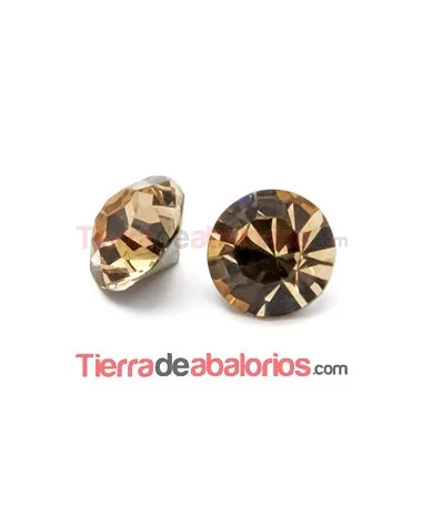 Xirius Chatón Swarovski SS29 Light Colorado Topaz Xirius Chatón Swarovski SS29 Light Colorado Topaz