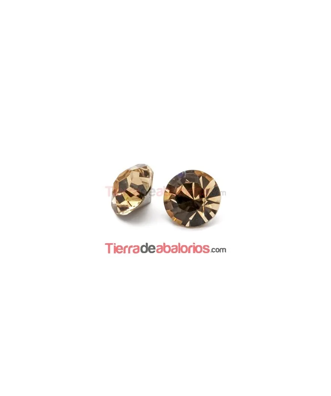 Xirius Chatón Swarovski SS29 Light Colorado Topaz