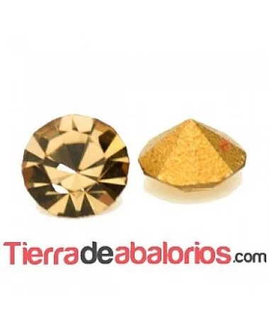 Xirius Chatón Swarovski PP30 Light Colorado Topaz