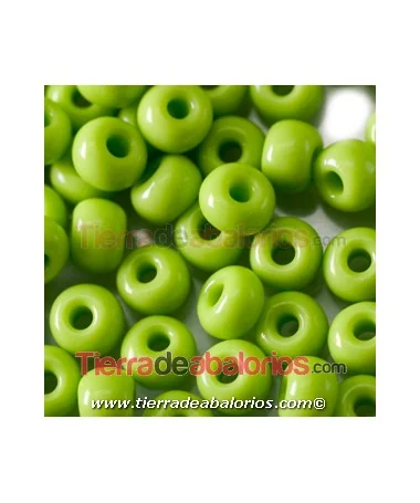 Rocalla 6/0 Verde Lima Opaco