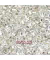 Rocalla 6/0 Cristal Plata Rocalla 6/0 Cristal Plata