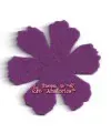 Flor 80mm Lila
