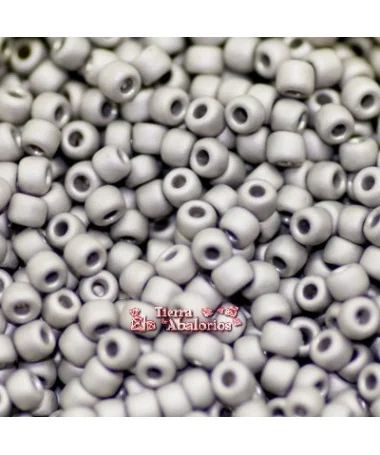 Rocalla Matsuno 10/0 Plata Mate