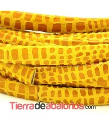 Ante de Cancun Media Caña 10x5mm Dorado Ante de Cancun Media Caña 10x5mm Dorado