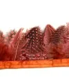 Tira de Plumas de Gallina de Guinea Medianas Naranja 1mt.