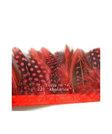 Tira de Plumas de Gallina de Guinea Medianas Rojo 20cm.