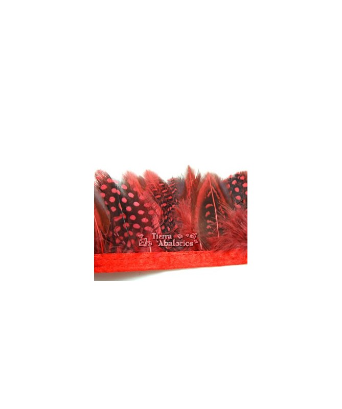 Tira de Plumas de Gallina de Guinea Medianas Rojo 20cm.