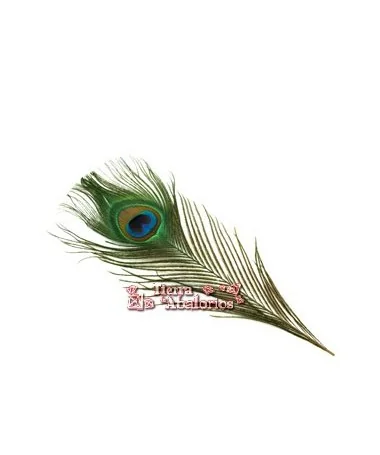 Pluma de Pavo Real 30cm aprox. Pluma de Pavo Real 30cm aprox.