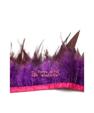 Tira de Plumas de Pavo, Morado (metro)