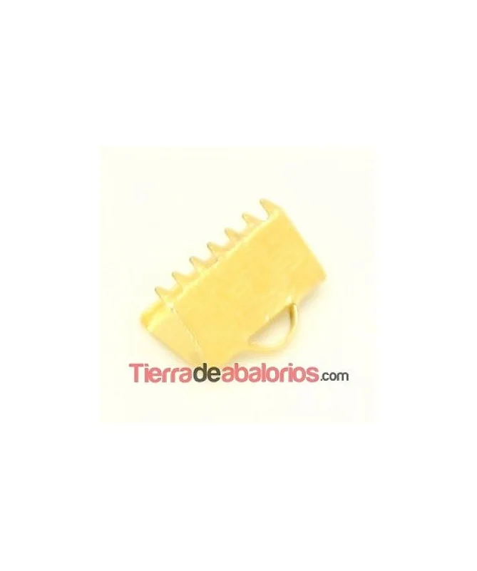 Terminal Ancho 10x6mm, Dorado