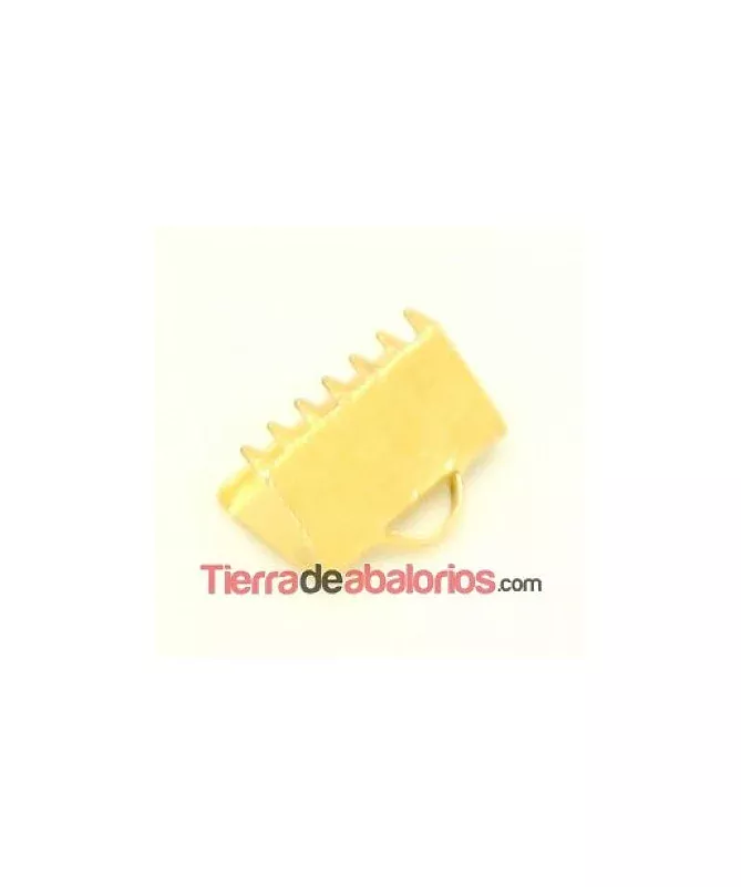 Terminal Ancho 10x6mm, Dorado