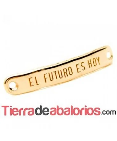Entrepieza Curvada 40x7mm - El Futuro es Hoy - Oro Rosa Entrepieza Curvada 40x7mm - El Futuro es Hoy - Oro Rosa