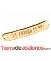 Entrepieza Curvada 40x7mm - El Futuro es Hoy - Oro Rosa