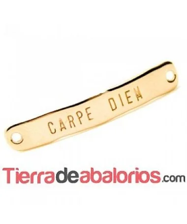 Entrepieza Curvada 40x7mm - Carpe Diem - Oro Rosa Entrepieza Curvada 40x7mm - Carpe Diem - Oro Rosa