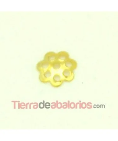 Casquilla 6mm, Dorada Casquilla 6mm, Dorada