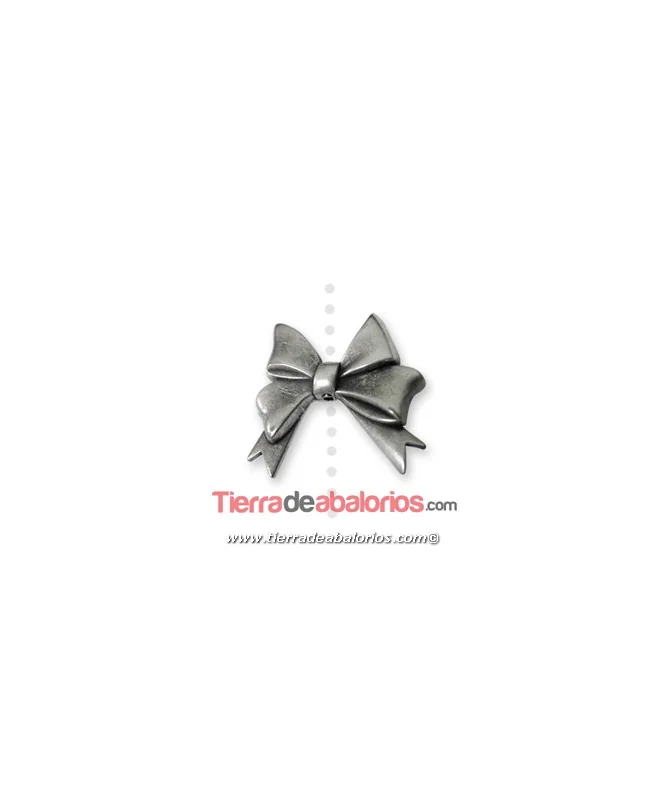 Lazo Pasador 42x38mm Agujero 2mm, Plateado