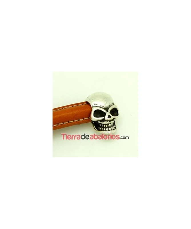 Terminal Media Caña Calavera 18x9mm Agujero 10x5mm