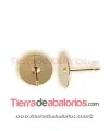 Pendiente Disco Plano 8mm, Dorado