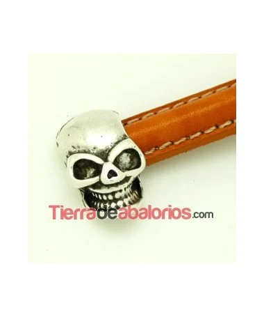 Terminal Media Caña Calavera 18x9mm Agujero 10x5mm