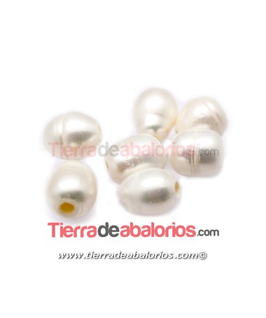 Perla Cultivada Irregular 13x10mm Aprox. Agujero 3,5mm