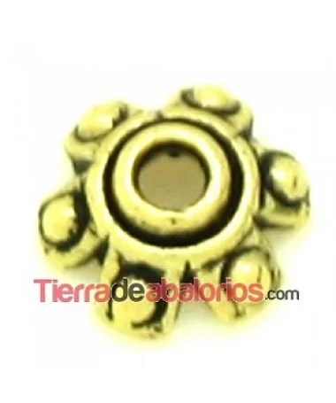 Casquilla 7mm, Oro Viejo Casquilla 7mm, Oro Viejo