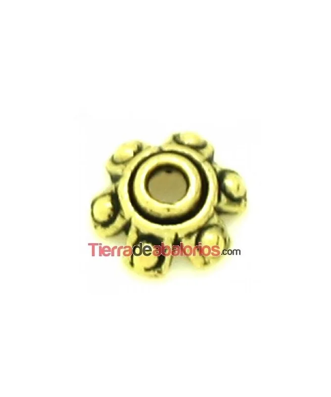 Casquilla 7mm, Oro Viejo