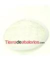 Base de Tocado Oval de Sinamay 13x9mm Blanco, con Peineta