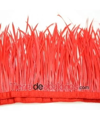 Pluma de Oca Teñida de 15 a 20cm. Roja (metro) Pluma de Oca Teñida de 15 a 20cm. Roja