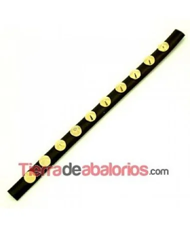 Tira de Cuero Media Caña Marrón con Remaches Cónicos Dorados