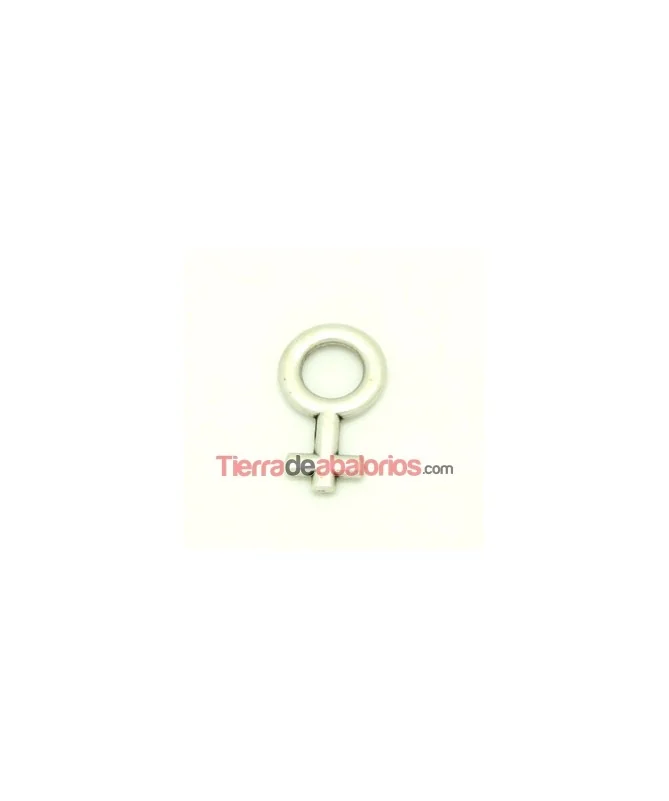 Colgante Femenino 30x15mm, Plateado
