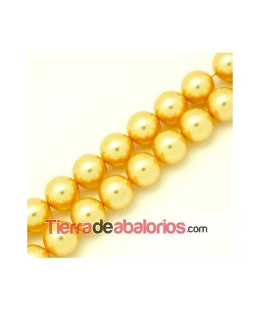 Perla Swarovski 6mm Crystal Gold
