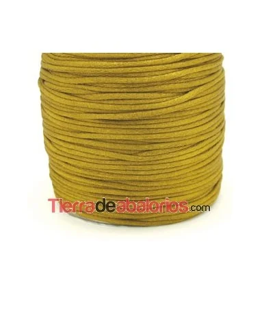 Cola de Ratón 2mm Dorado Oscuro