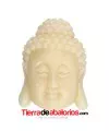 Buda de Resina 28x20mm Agujero 1,7mm, Marfil